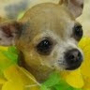 Meet your Posher, Vicki